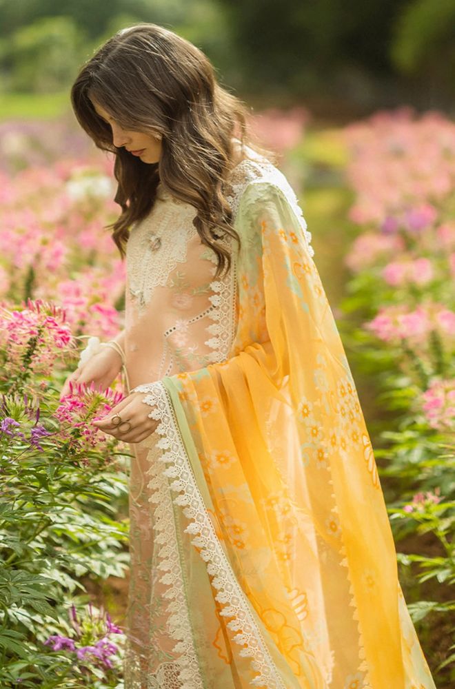 Mushq - 3PC Lawn Embroidered Shirt with Printed Silk Dupatta (Unstitched) - RF1366