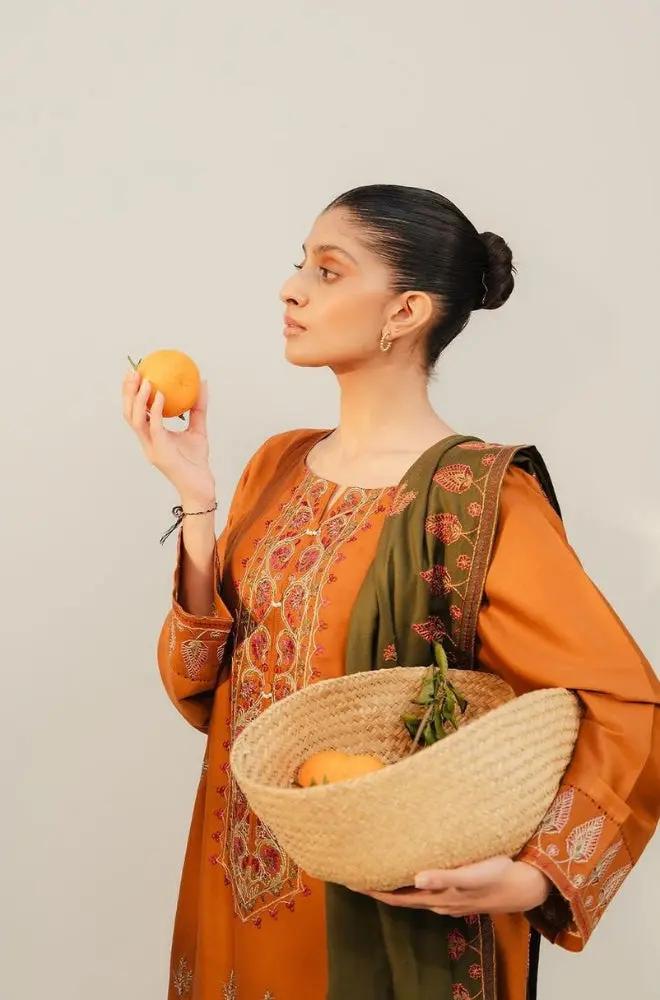 Beechtree - 3PC Unstitched Dhanak Embroidered Shirt with Dhanak Embroidered Dupatta and Trouser - RF1166 royalpret